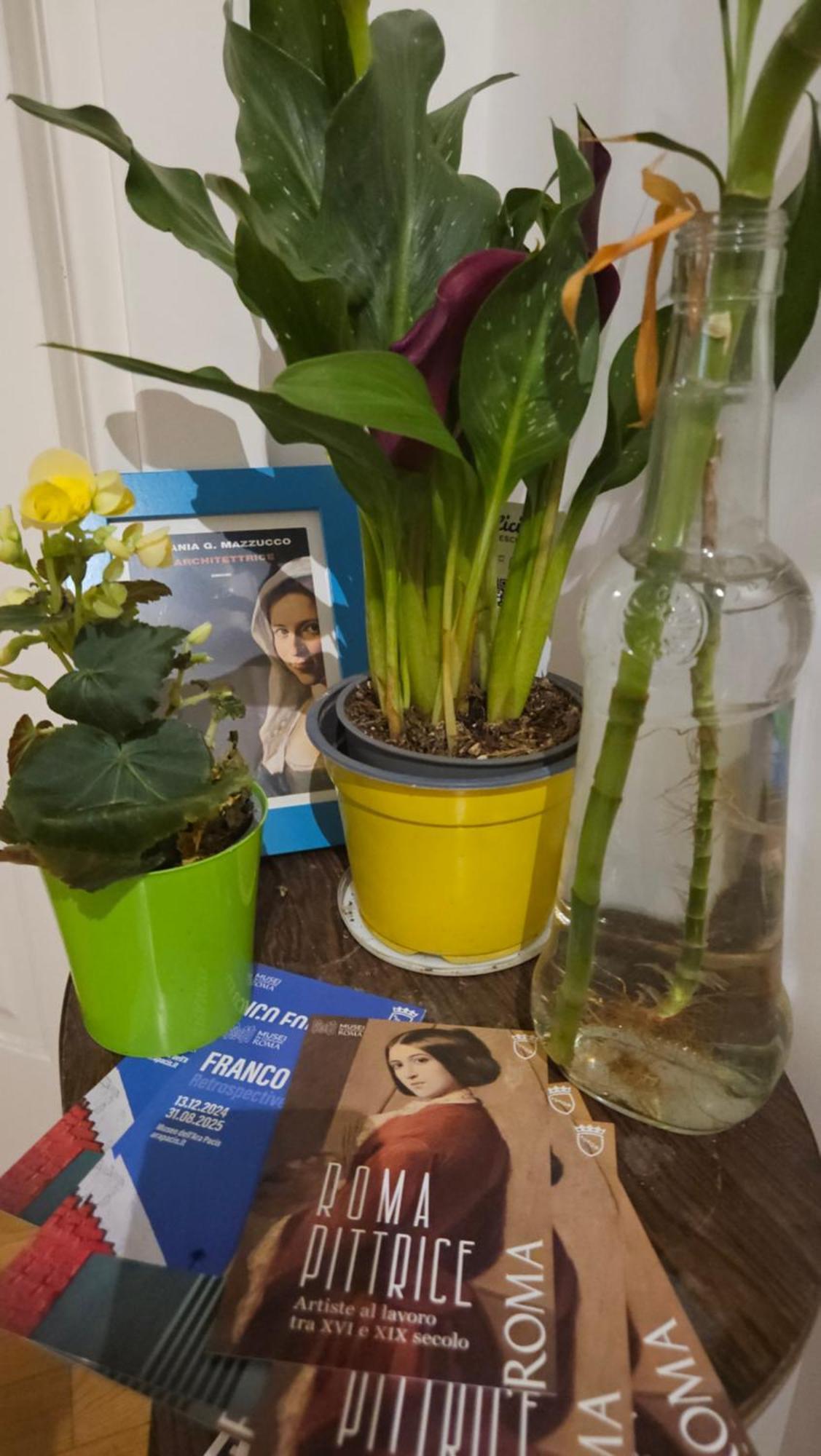 Ulysses In Acomodação com café da manhã  Roma